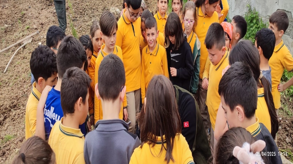 Gümüşova Orman İşletme Şefliği Görevlileri ile Okulumuz Bahçesinde Fidan Diktik
