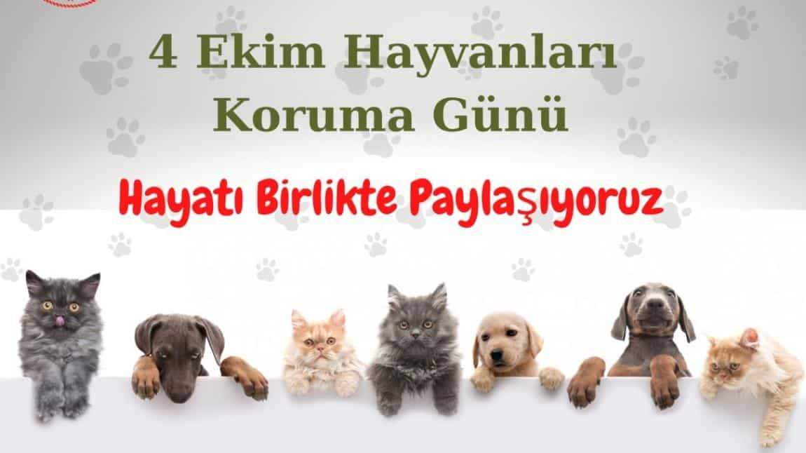 4 Ekim Dünya Hayvanları Koruma Günü Fotoğraf Yarışması