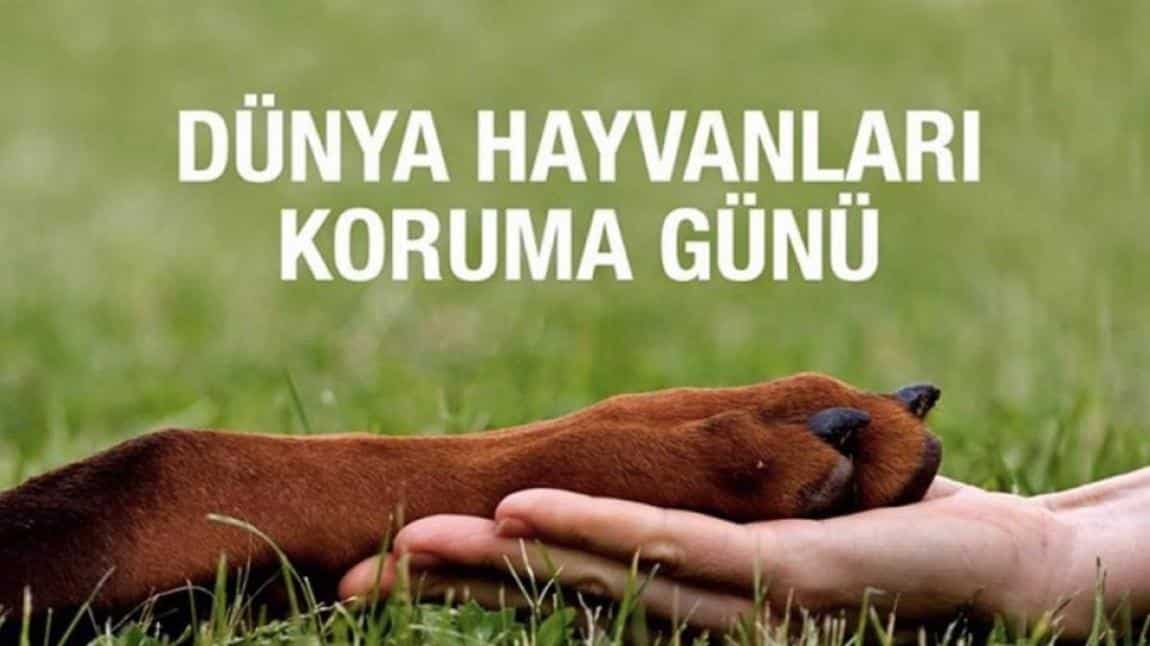 4 Ekim Dünya Hayvanları Koruma Günü Fotoğraf Yarışmasıne katılan tüm eserlerin videosu.